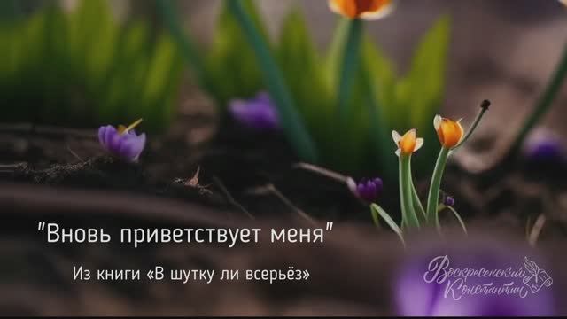 Вновь приветствует меня