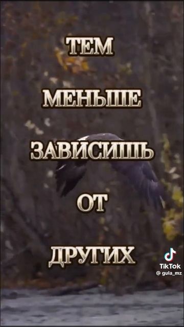 b805951f-f143-4b40-8e07-05229be48da4-1_all_10087.mp4