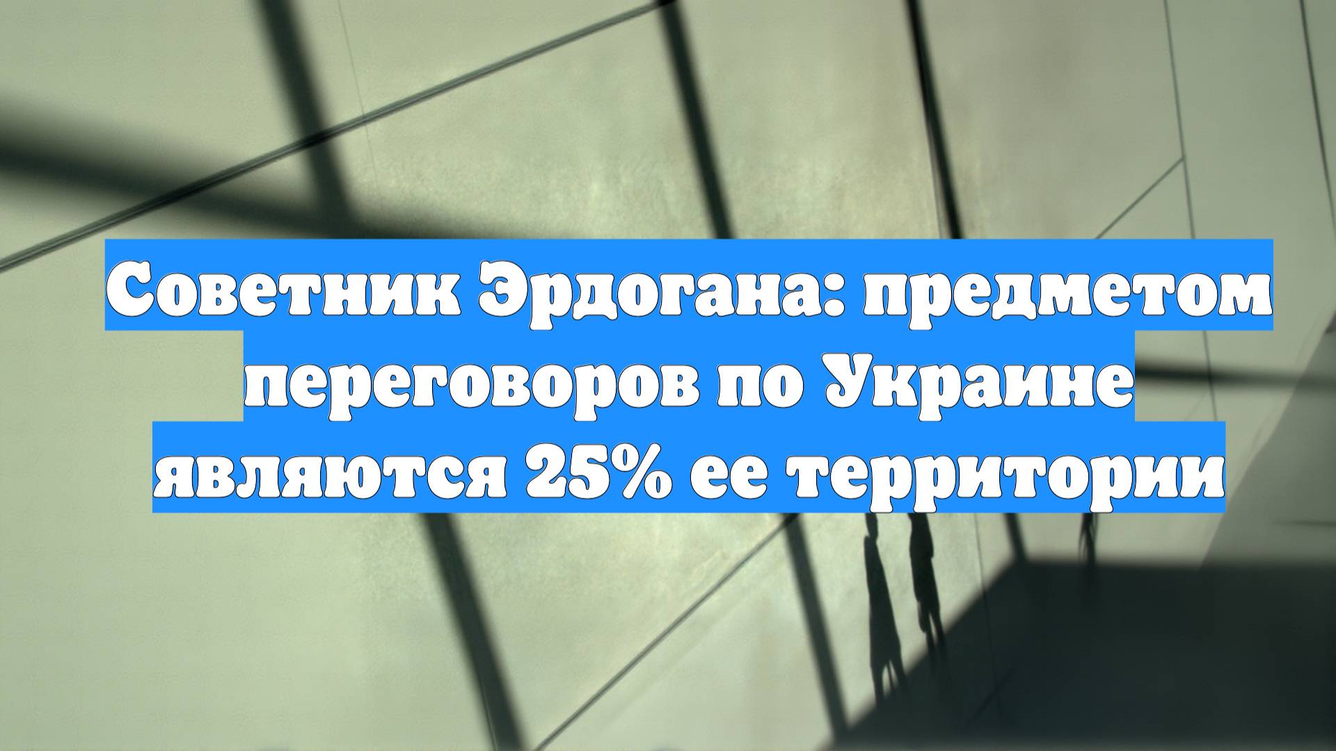 Советник Эрдогана: предметом переговоров по Украине являются 25% ее территории