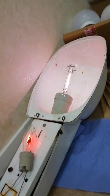 Чем отличается лампа днат от неоновой лампы (свеча на ветру)