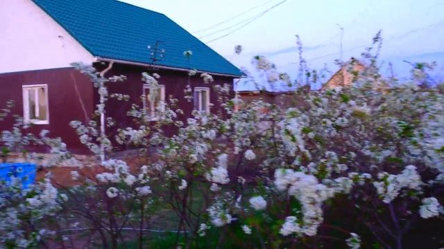 Уходящая красота мимолетна в году Для милых дам цветы и лучшей женщине на свете Улыбайся чаще =)