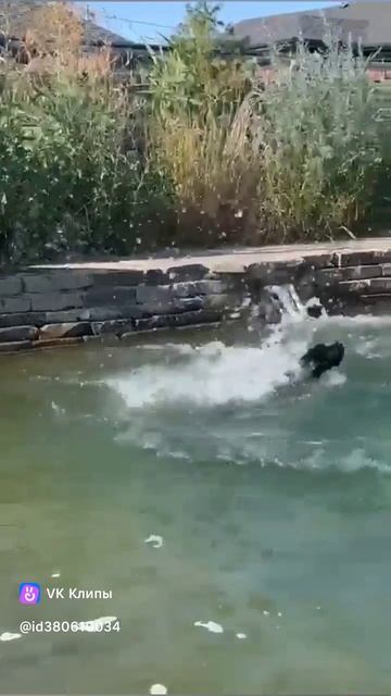 1000026679.mp4