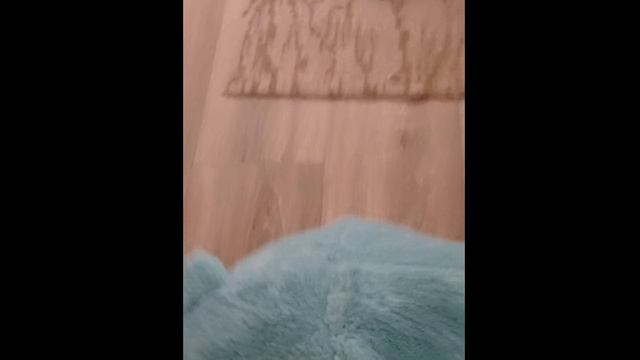 прятки от Паши