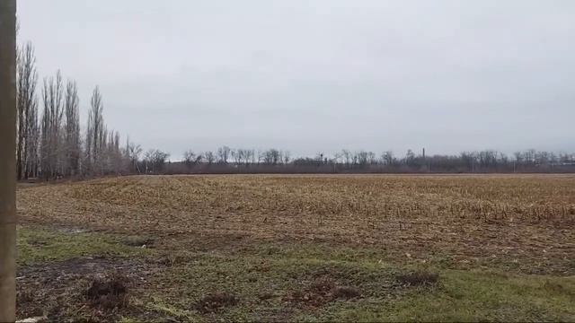 18 дек. 2022 г. Опять Весна, паводок...