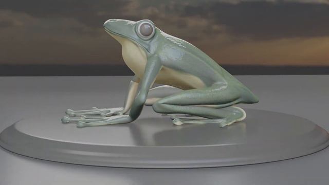 Green Frog character made in Blender