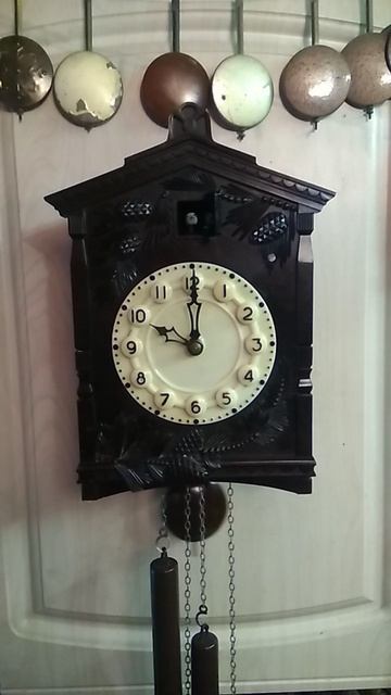 Таёжная чаща 10300