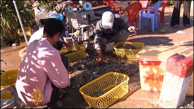 Vietnam farmers benefit from rising sea levels