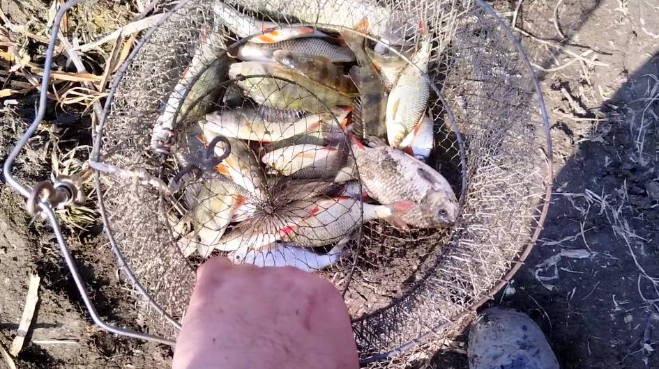 Весенняя рыбалка на поплавок в Астрахани.