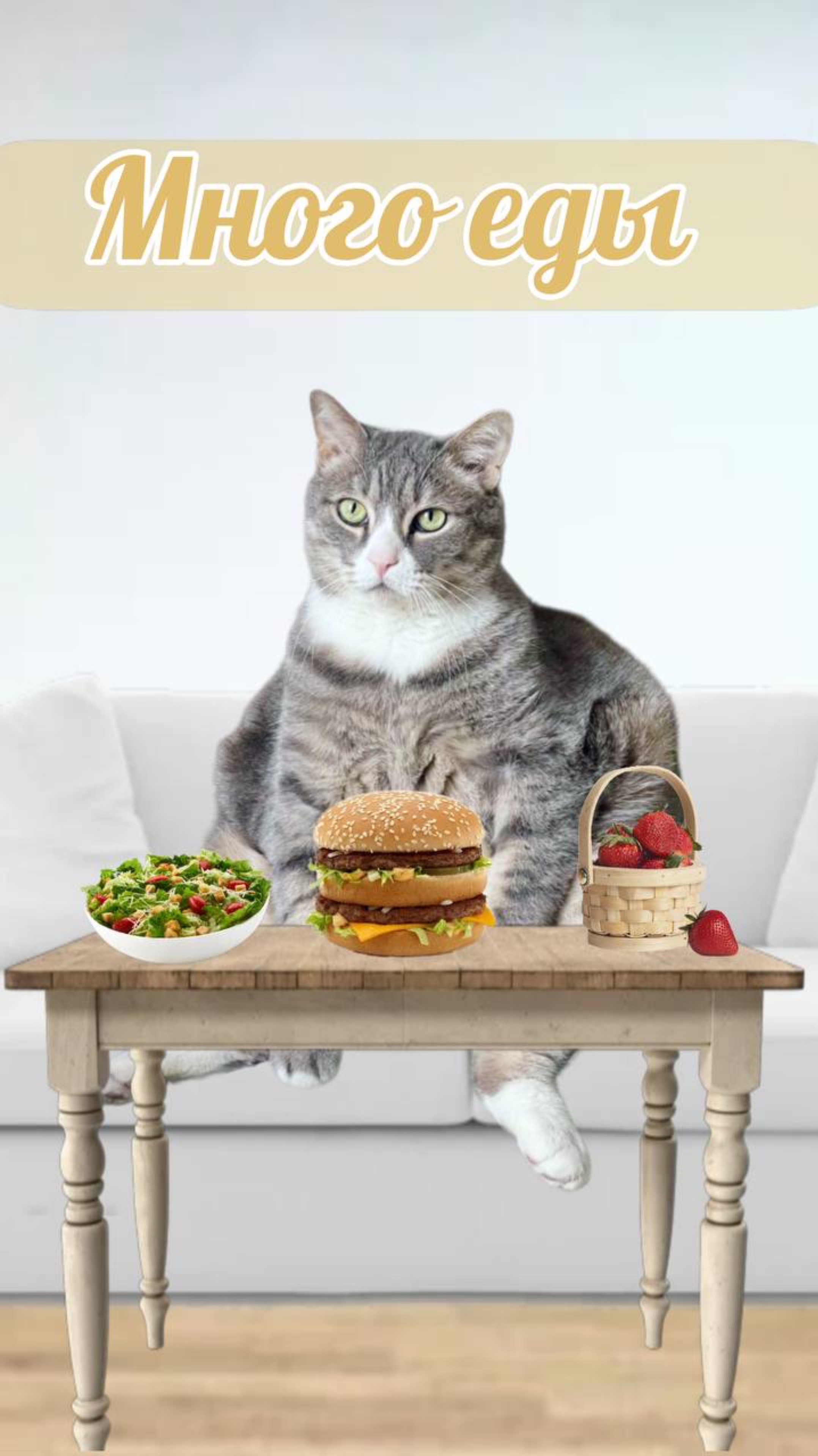 Когда твой кот вечно голодный #питомцы #cat #веселыекоты