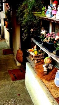 Всё на камере