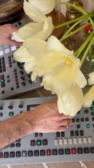 Сегодня звукотерапия йо