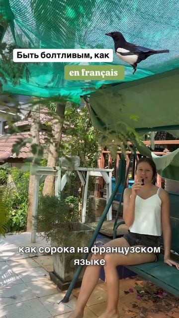 être bavarde comme une pie - быть болтливым, как сорока 🐦⬛ 🇫🇷
