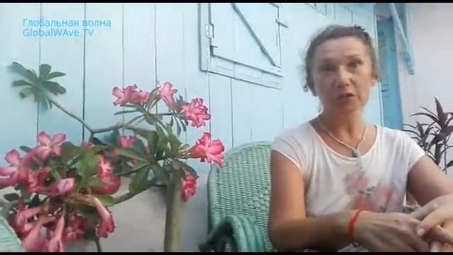 Погружение в ведическую астрологию - СветЛана и Марго - Глобальная волна