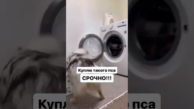 1000014762.mp4
