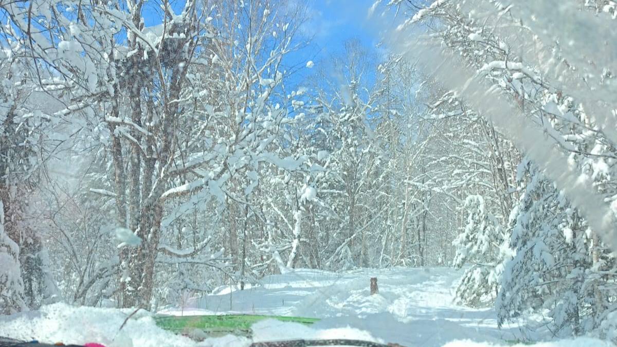 Пилахта 2025 или снег убийца