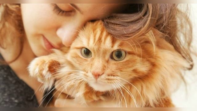 Ирина Расшивалова  "И кошка любит ласковое слово" читает Любовь Б.