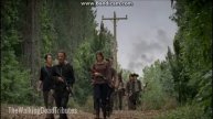 The Survivors || Carry On