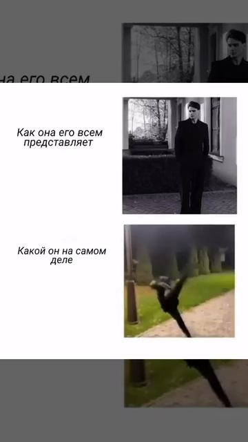 #Юмор#Мем#жиза