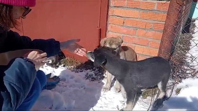 1000226911.mp4