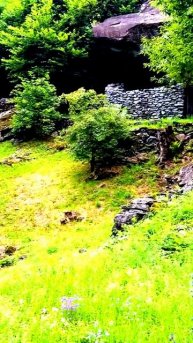 Камера в сердце событий