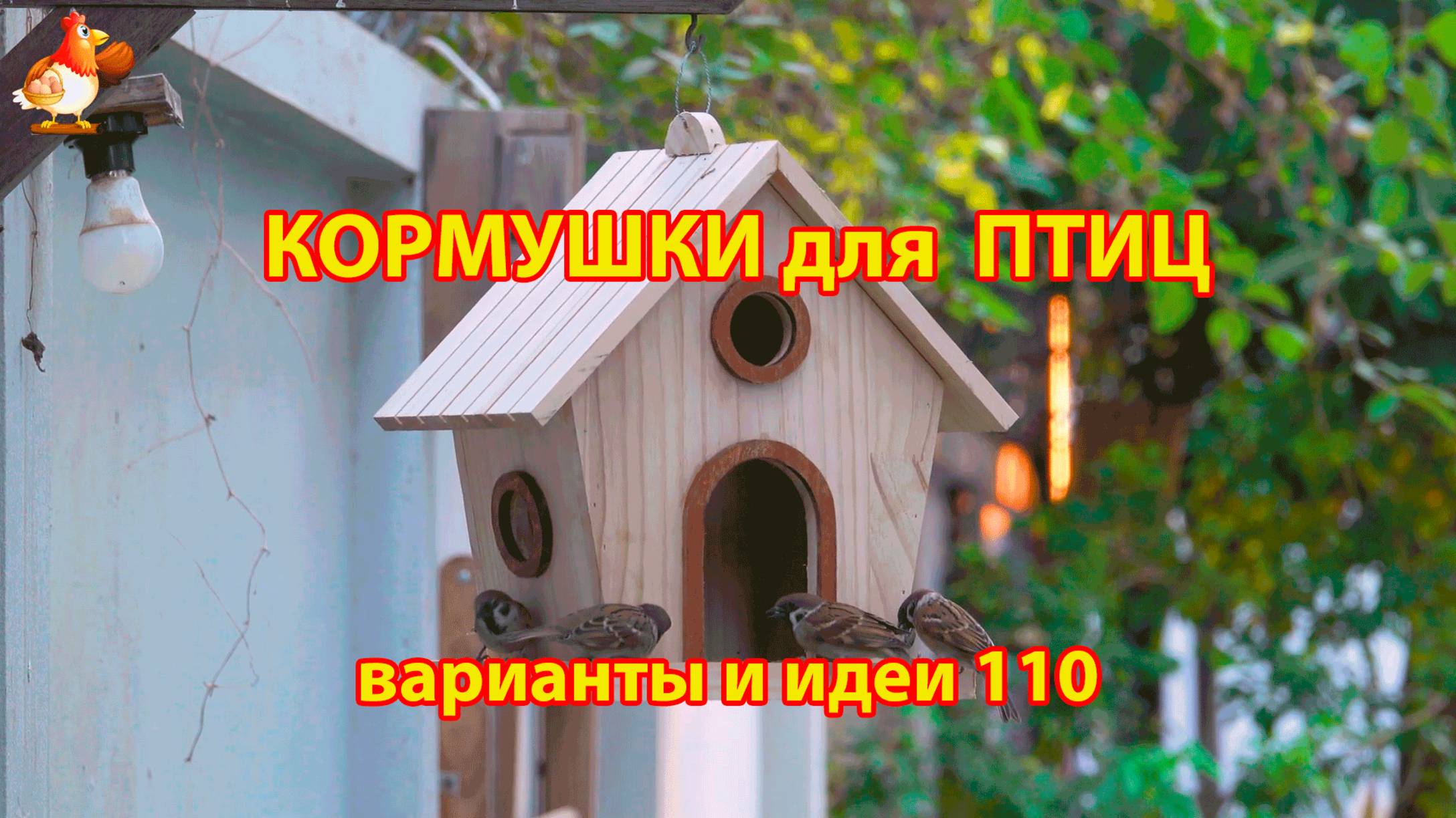 Кормушка для птиц своими руками как сделать пошагово  (110) 🪚🪛🔨 Идеи для дачи и сада❣️