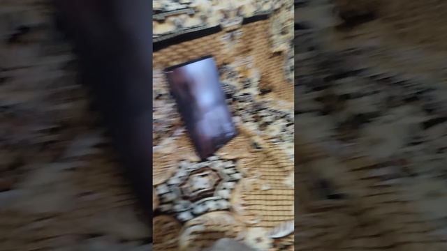 1000053498.mp4