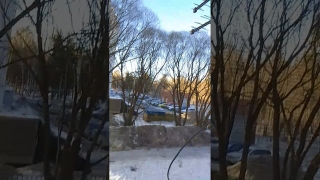 VID-20250316-WA0030