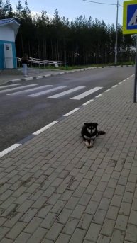 Едем в г Шахты.
