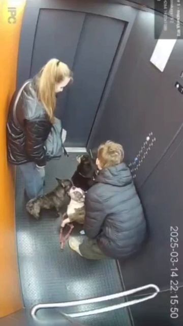 Молодой парень спас собаку, которая едва не погибла в лифте !!!