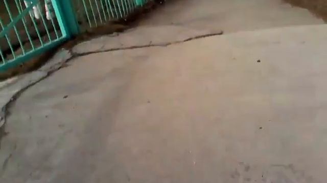 А я иди по улице словно чума,чече :-) :-) :-) :-)