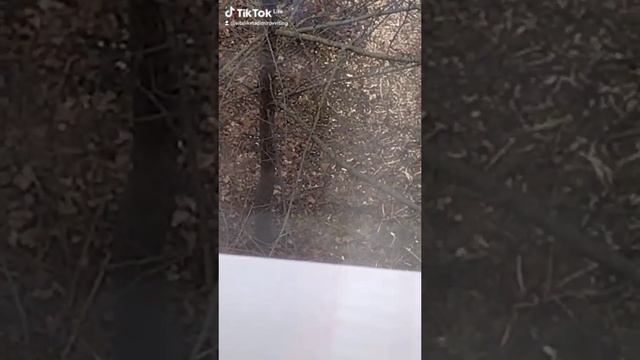 1000037431.mp4
