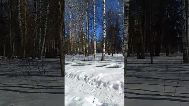 VID-20250316-WA0061