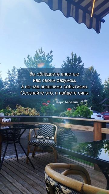 Цитата дня.