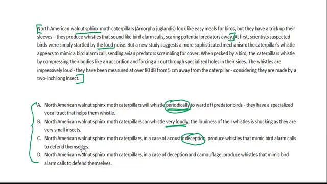 CAT 17 Paragraph Summary Question Solved