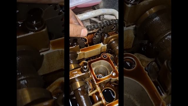 Провис цепи  форд-мазда как понять