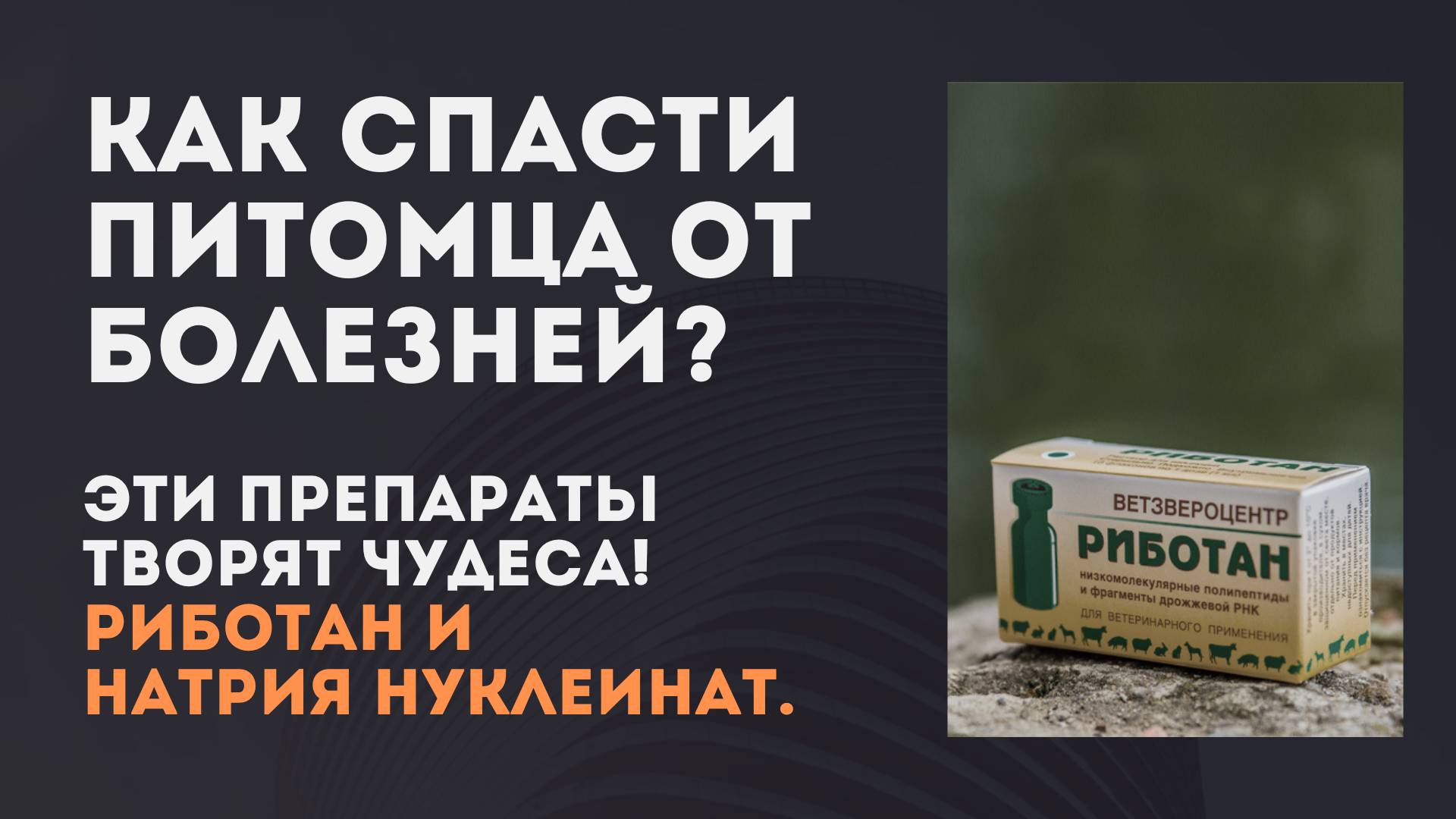 Как спасти питомца от болезней? Эти препараты творят чудеса! Риботан и Натрия Нуклеинат.