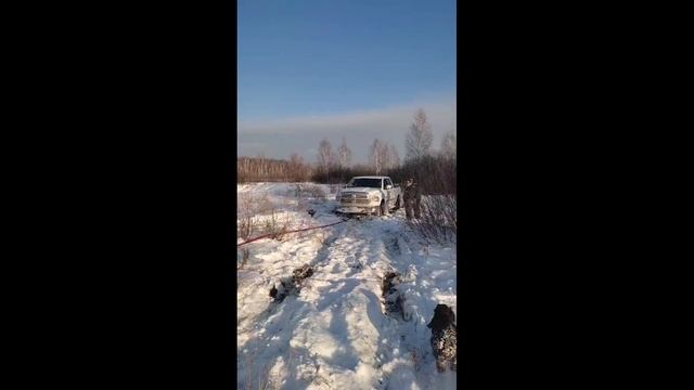 400 Арабских скакунов против 128 хромых пони.