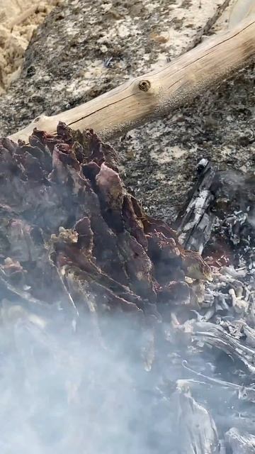 Я БОЛЬШЕ НЕ ВЕРНУСЬ НА ЭТОТ НЕОБИТАЕМЫЙ ОСТРОВ С АКУЛАМИ