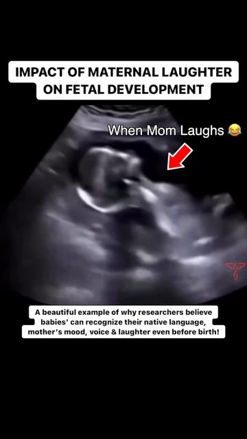 Effect of a Mother's Laughter on an Unborn Baby