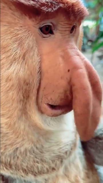 туда его🍌