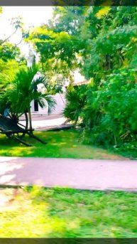 15-03-2025. Мексиканский городок Плаякар