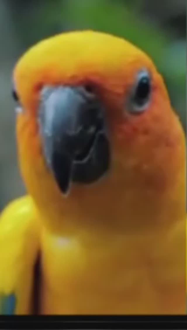 Целебная музыка для сердца и сосудов