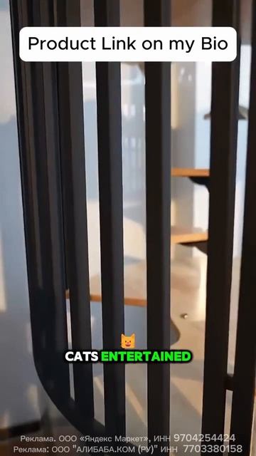 Номер люкс для кошек