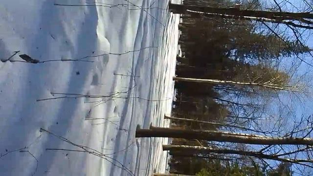 VID-20250316-WA0067