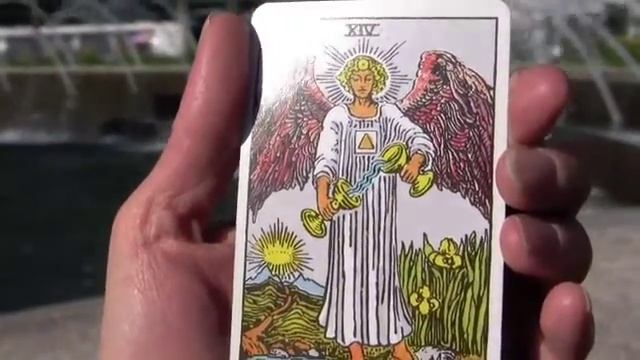 14 Major Arcana On Broadway: The Temperance Card