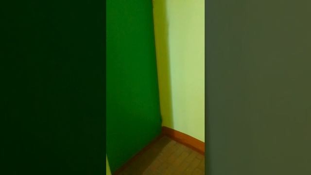 VID-20250316-WA0086
