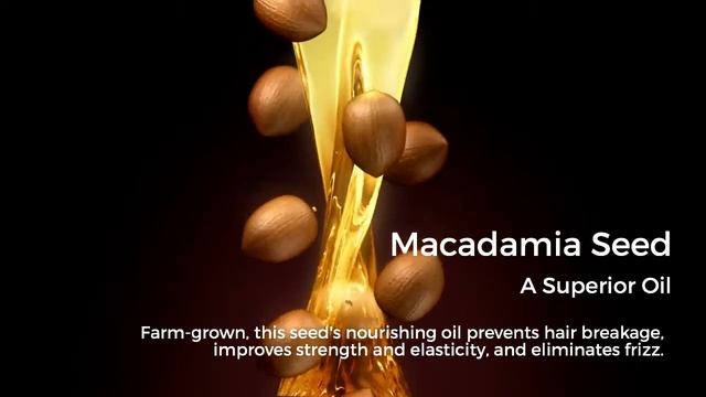 Macadamia Seed