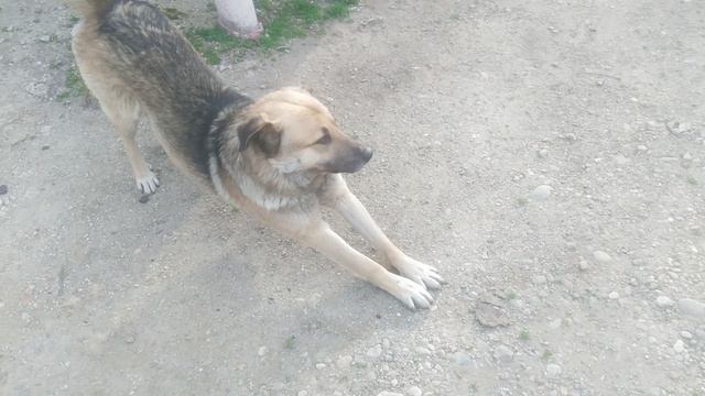 VID_20250314_084503