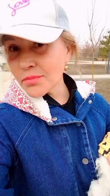 На сон грядущий