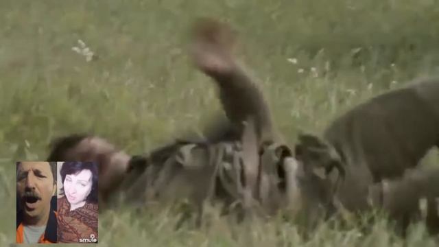 Чёрный ворон